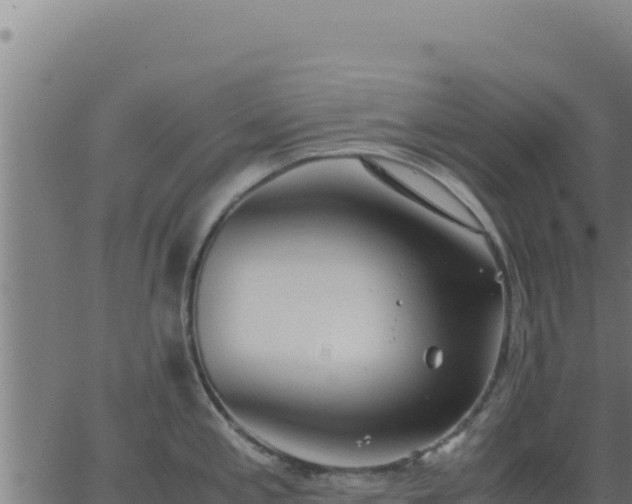 X0000062851197200601201655