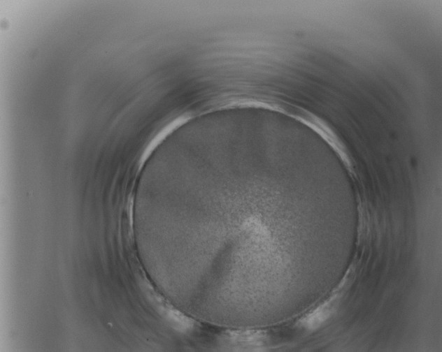 X0000062851198200601201655