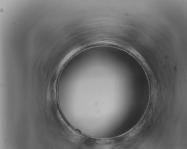 X0000062851199200601201655