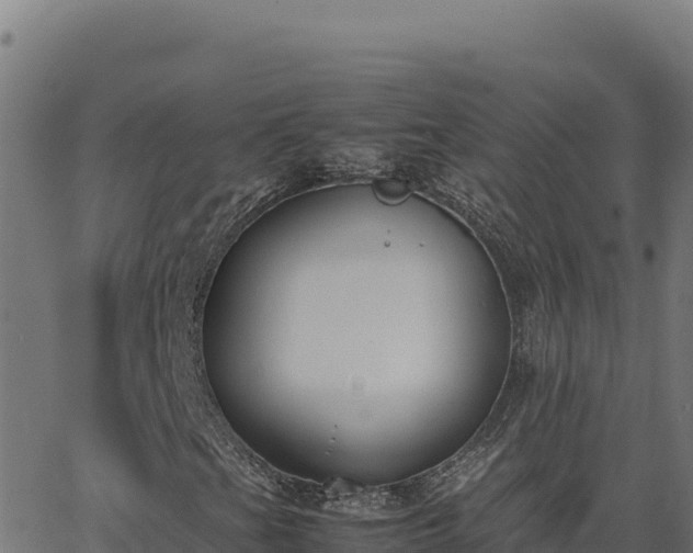 X0000062851201200601201654