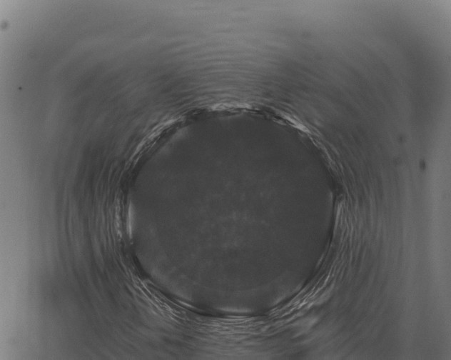 X0000062851202200601201654