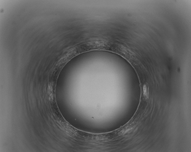 X0000062851203200601201654