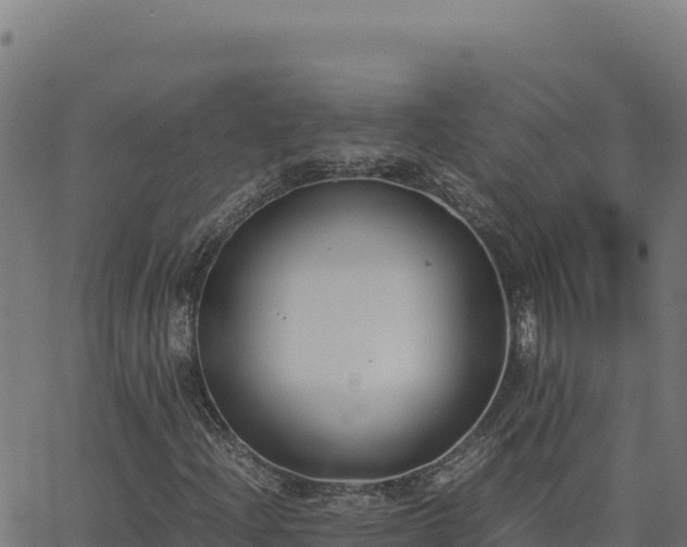 X0000062851204200601201654