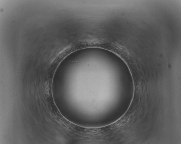 X0000062851205200601201654