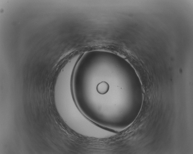 X0000062851206200601201654