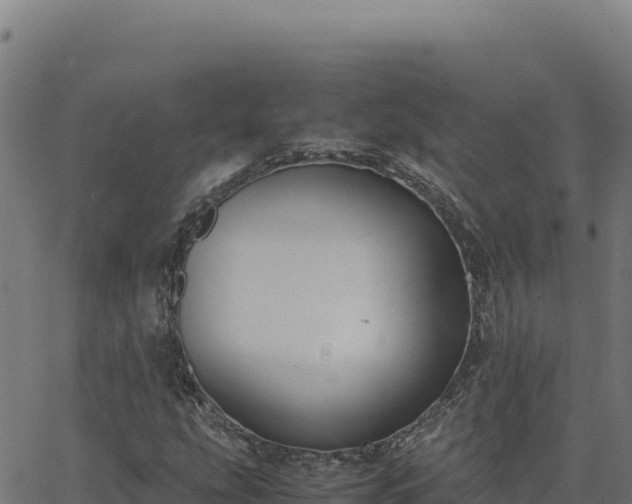 X0000062851207200601201654