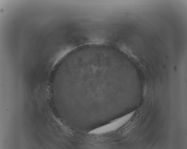 X0000062851208200601201654