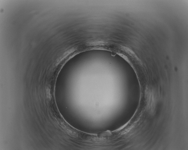 X0000062851209200601201655