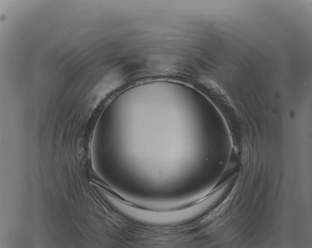 X0000062851210200601201655