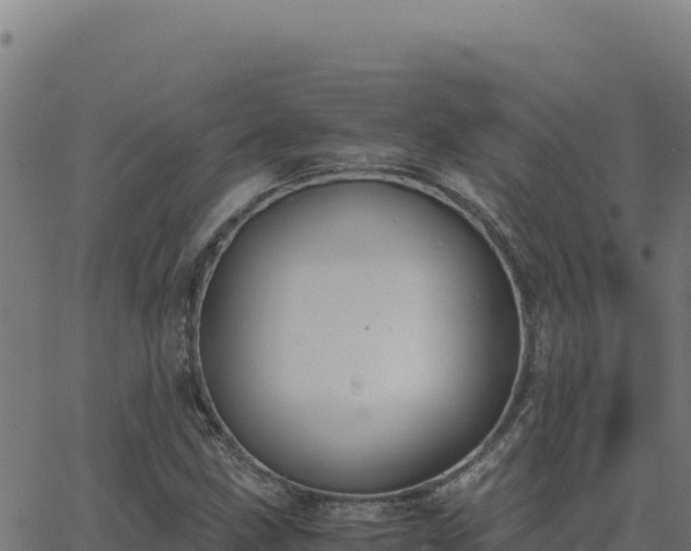 X0000062851211200601201655