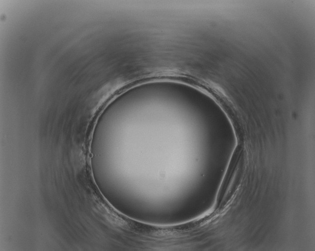 X0000062851212200601201655