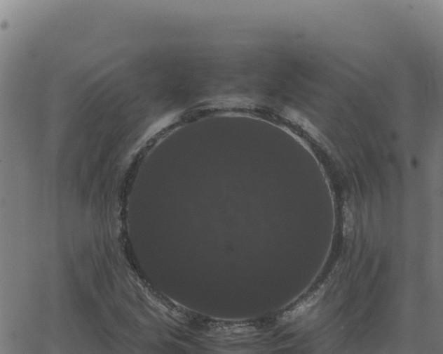 X0000062851213200601201655