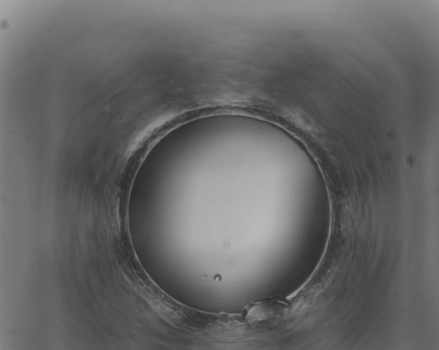 X0000062851214200601201655