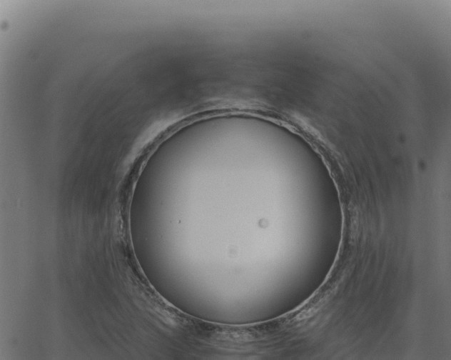 X0000062851215200601201655