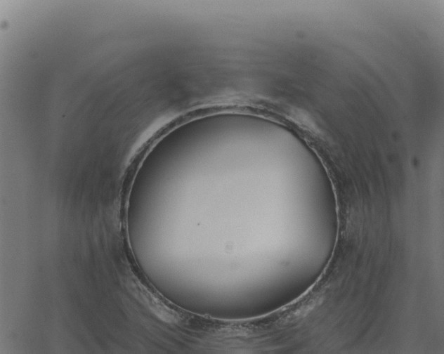 X0000062851216200601201655