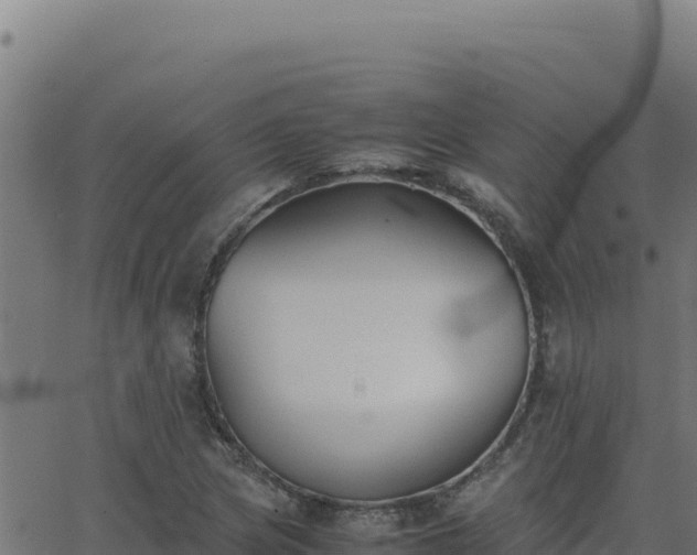 X0000062851217200601201655