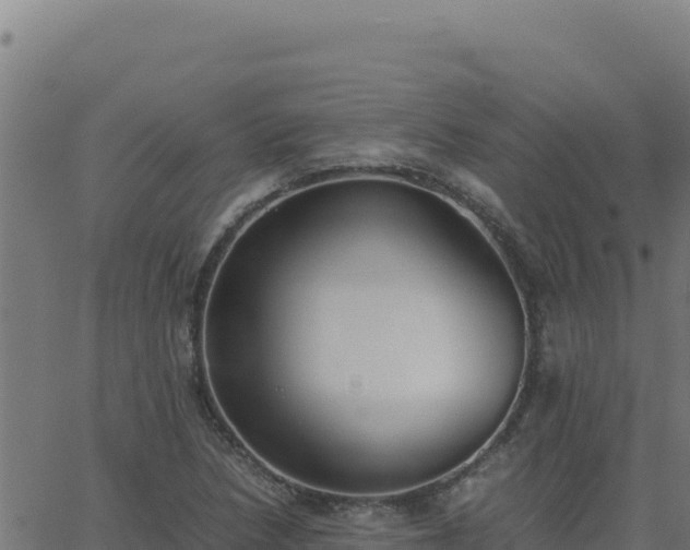 X0000062851218200601201655