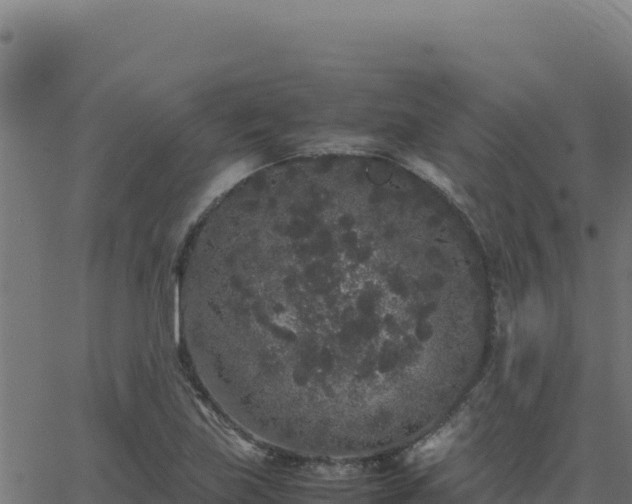 X0000062851219200601201655