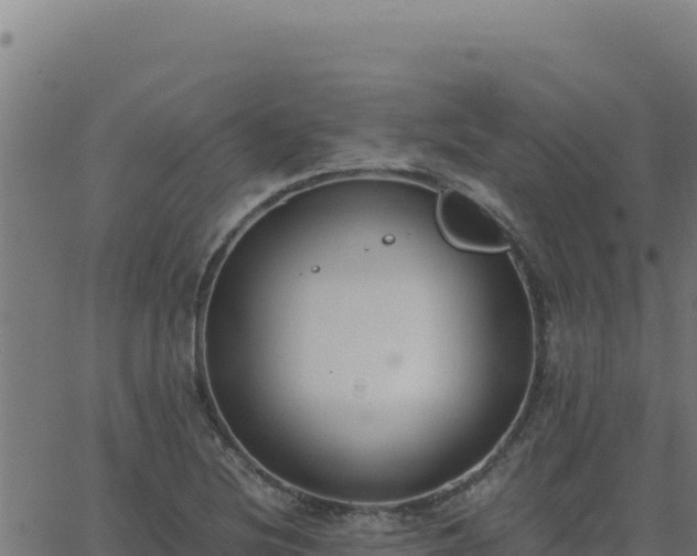 X0000062851220200601201655