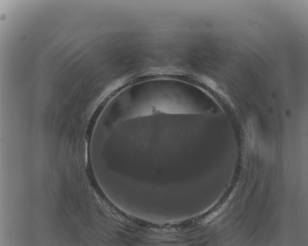 X0000062851221200601201655