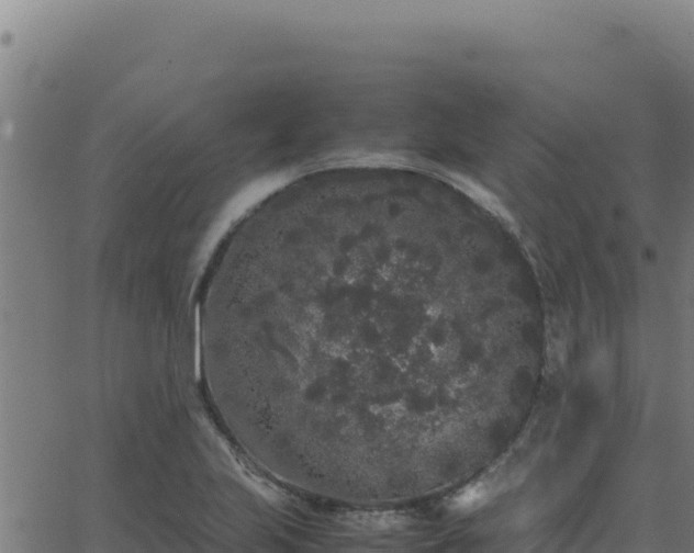 X0000062851223200601201655