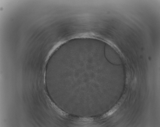 X0000062851224200601201655