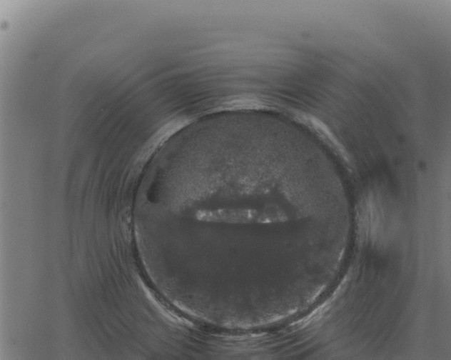 X0000062851225200601201655