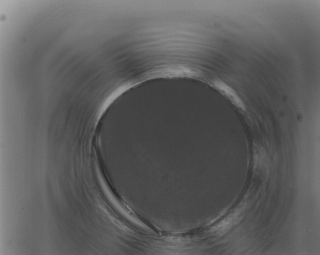 X0000062851226200601201655