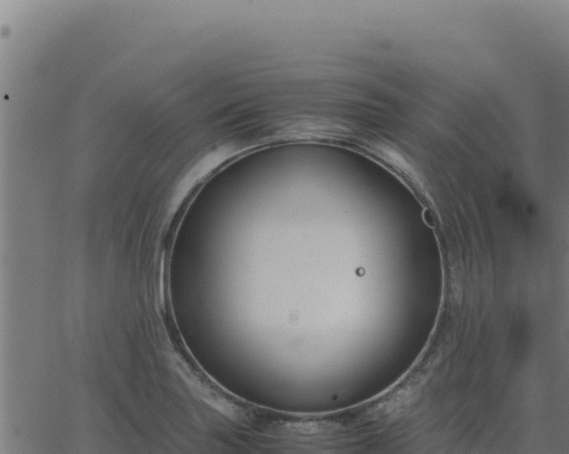 X0000062851227200601201655