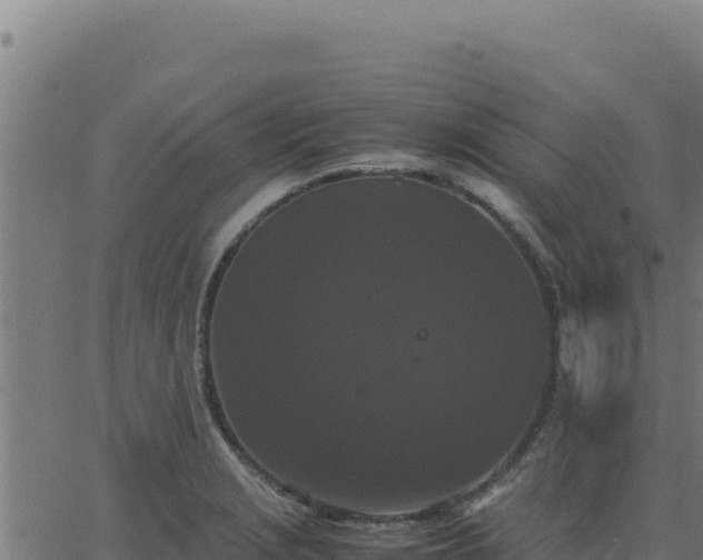 X0000062851229200601201655