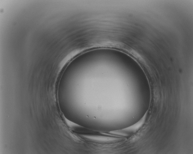 X0000062851230200601201655