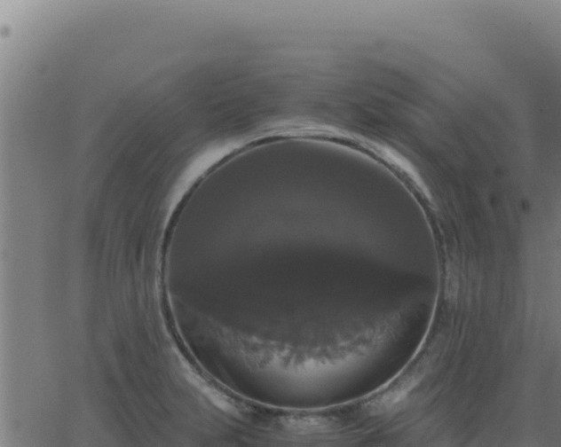 X0000062851231200601201655