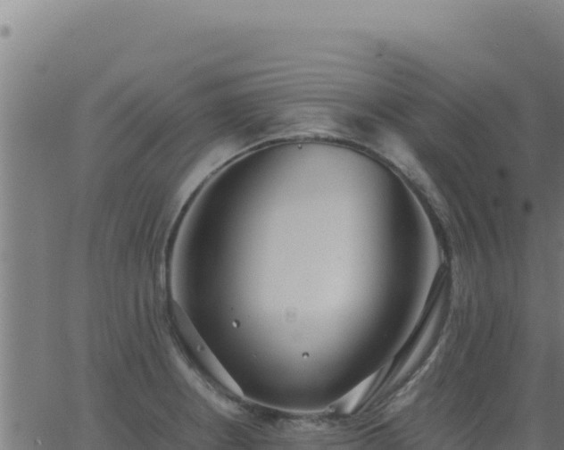 X0000062851234200601201655