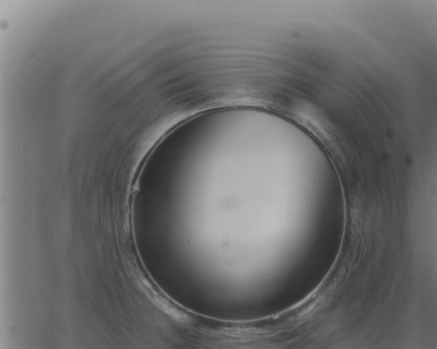 X0000062851236200601201655