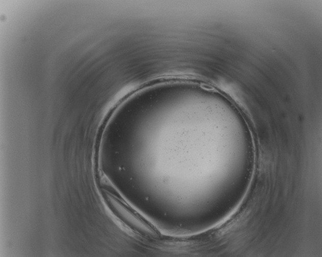 X0000062851237200601201655