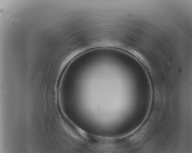 X0000062851238200601201655