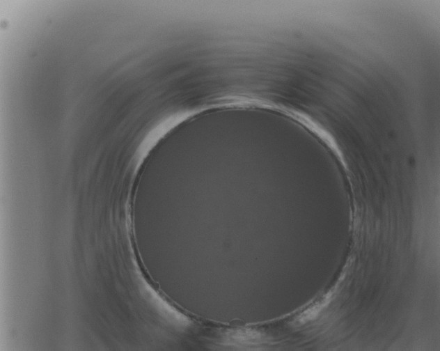 X0000062851239200601201655