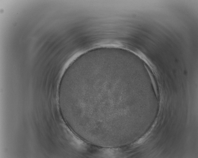 X0000062851240200601201655