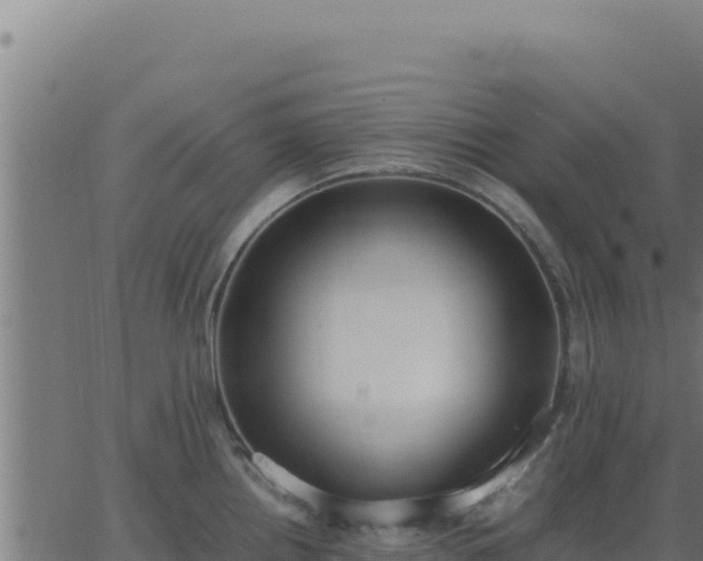 X0000062851242200601201655