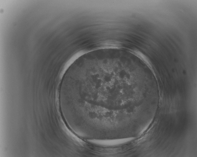 X0000062851243200601201655