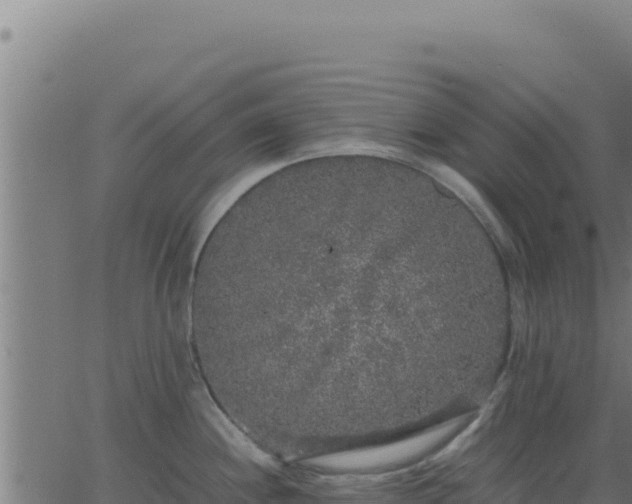 X0000062851244200601201655