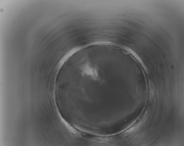 X0000062851245200601201655