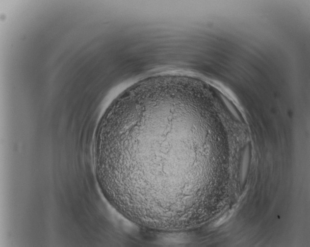 X0000062851247200601201655