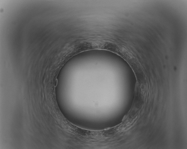 X0000062851249200601201654