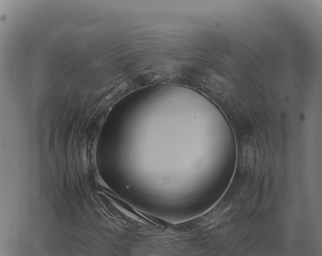 X0000062851250200601201654