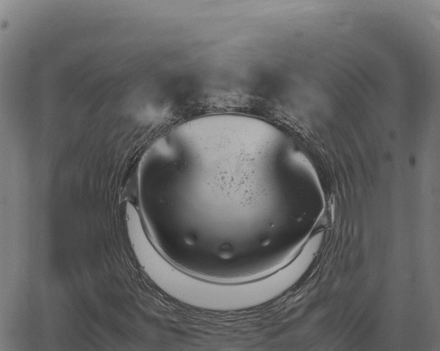 X0000062851251200601201654