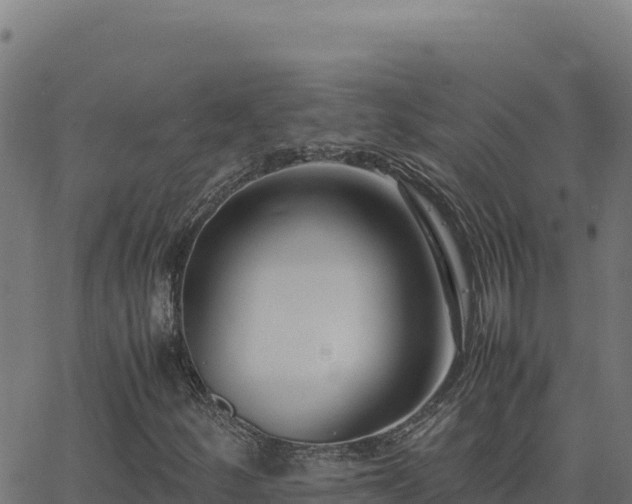 X0000062851252200601201654