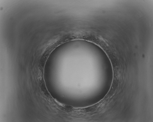 X0000062851253200601201654