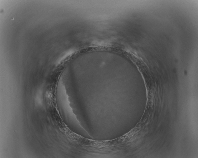 X0000062851254200601201654