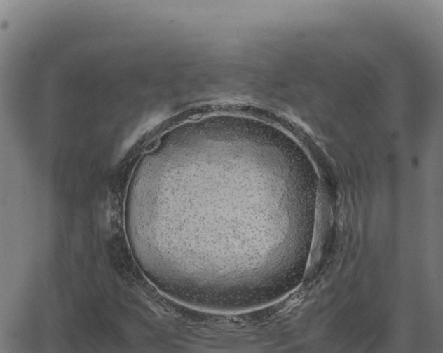 X0000062851255200601201654